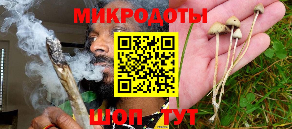 Галлюциногенные грибы Cubensis Холмск